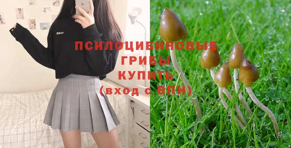 мяу мяу мука Волоколамск