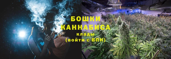 СК Верхний Тагил