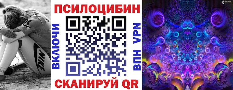 Псилоцибиновые грибы Psilocybine cubensis наркошоп Находка