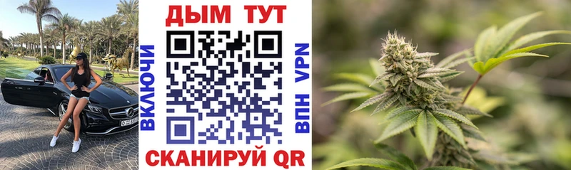 ОМГ ОМГ ТОР  Находка  Бошки Шишки тримм 